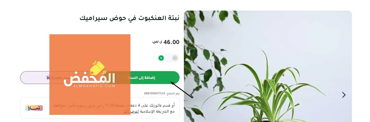 كود خصم نباتاتي الإمارات 